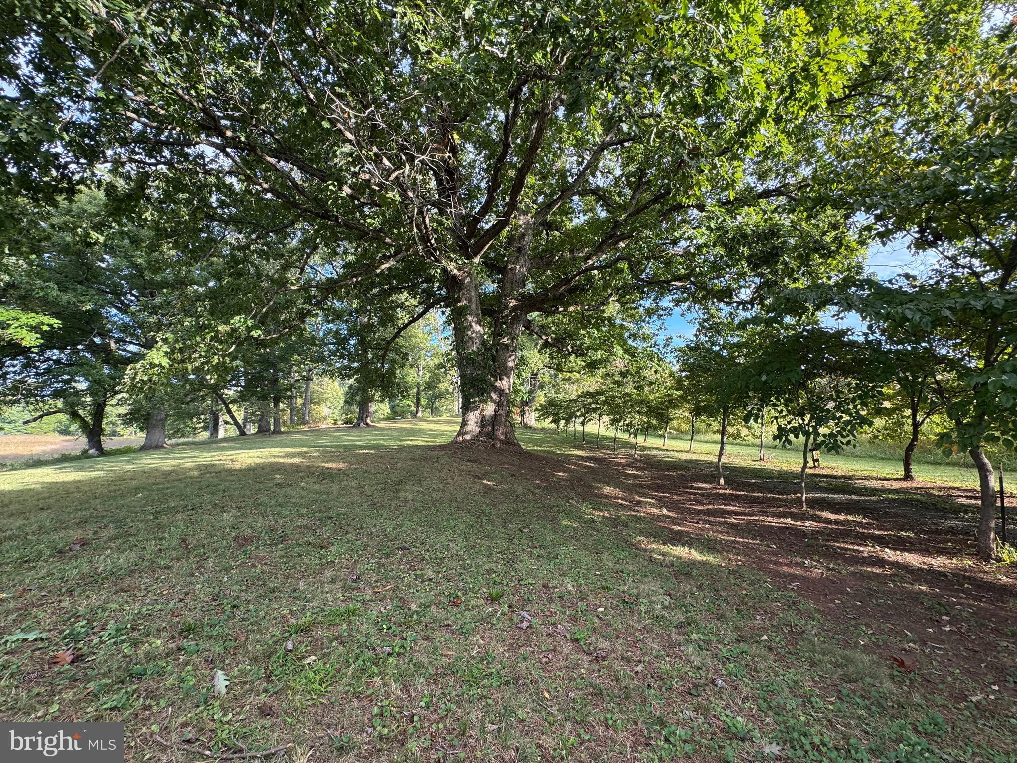 164 GARRETTS MILL ROAD