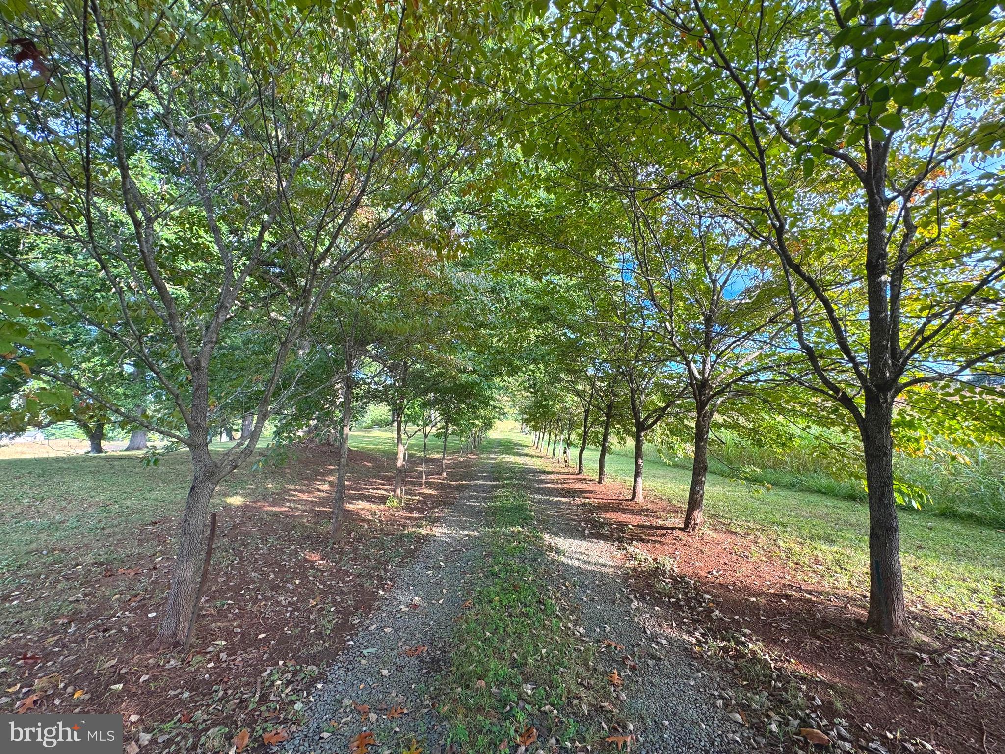 NONE AVAILABLE - Land