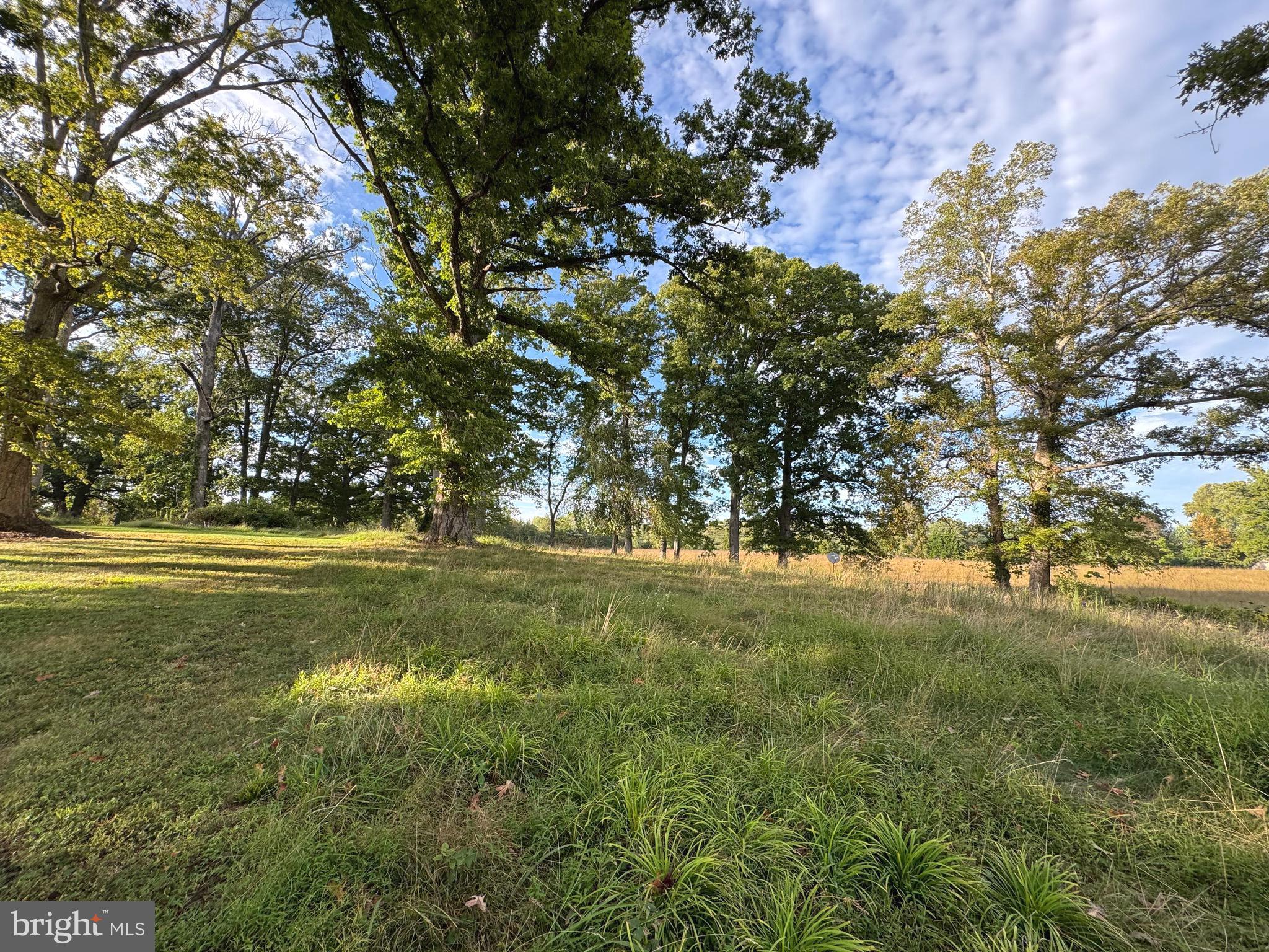 NONE AVAILABLE - Land