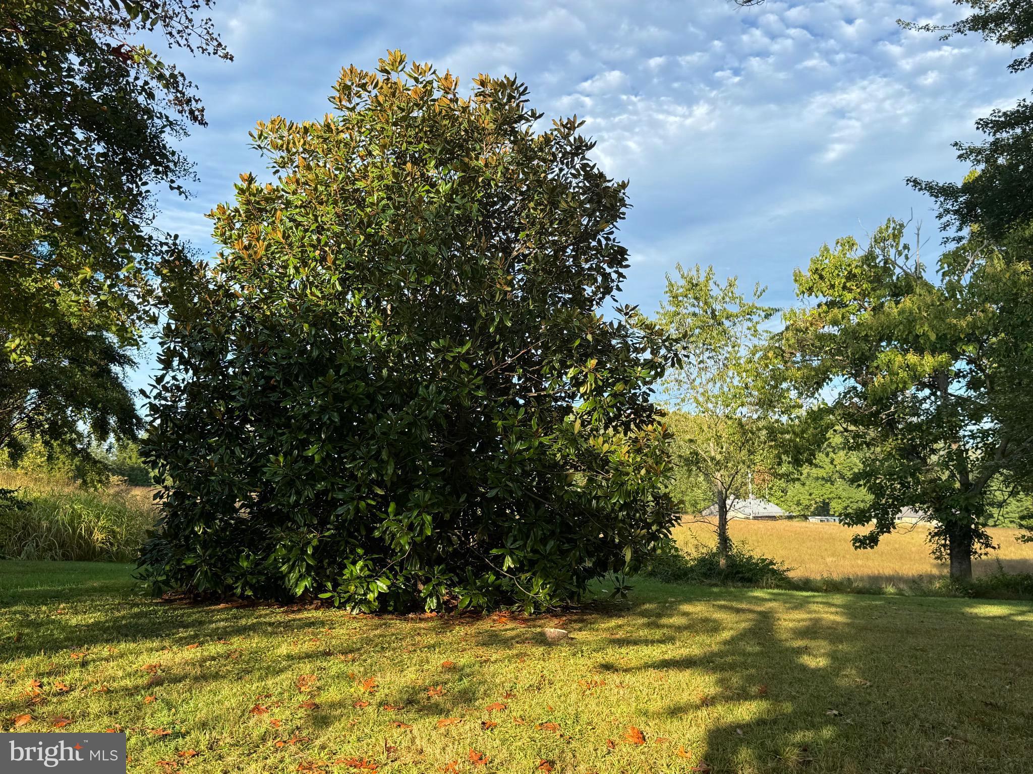 NONE AVAILABLE - Land