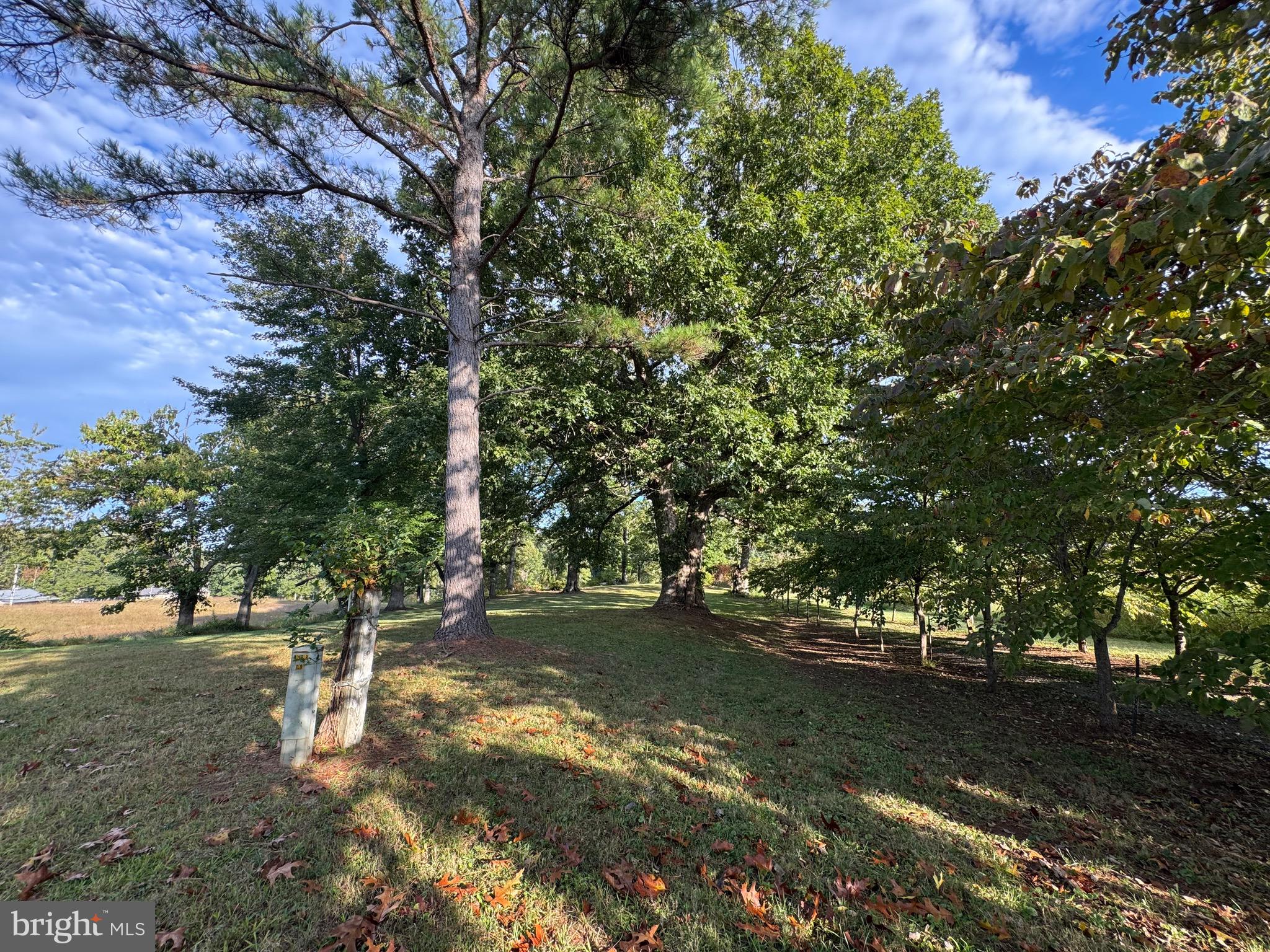 NONE AVAILABLE - Land