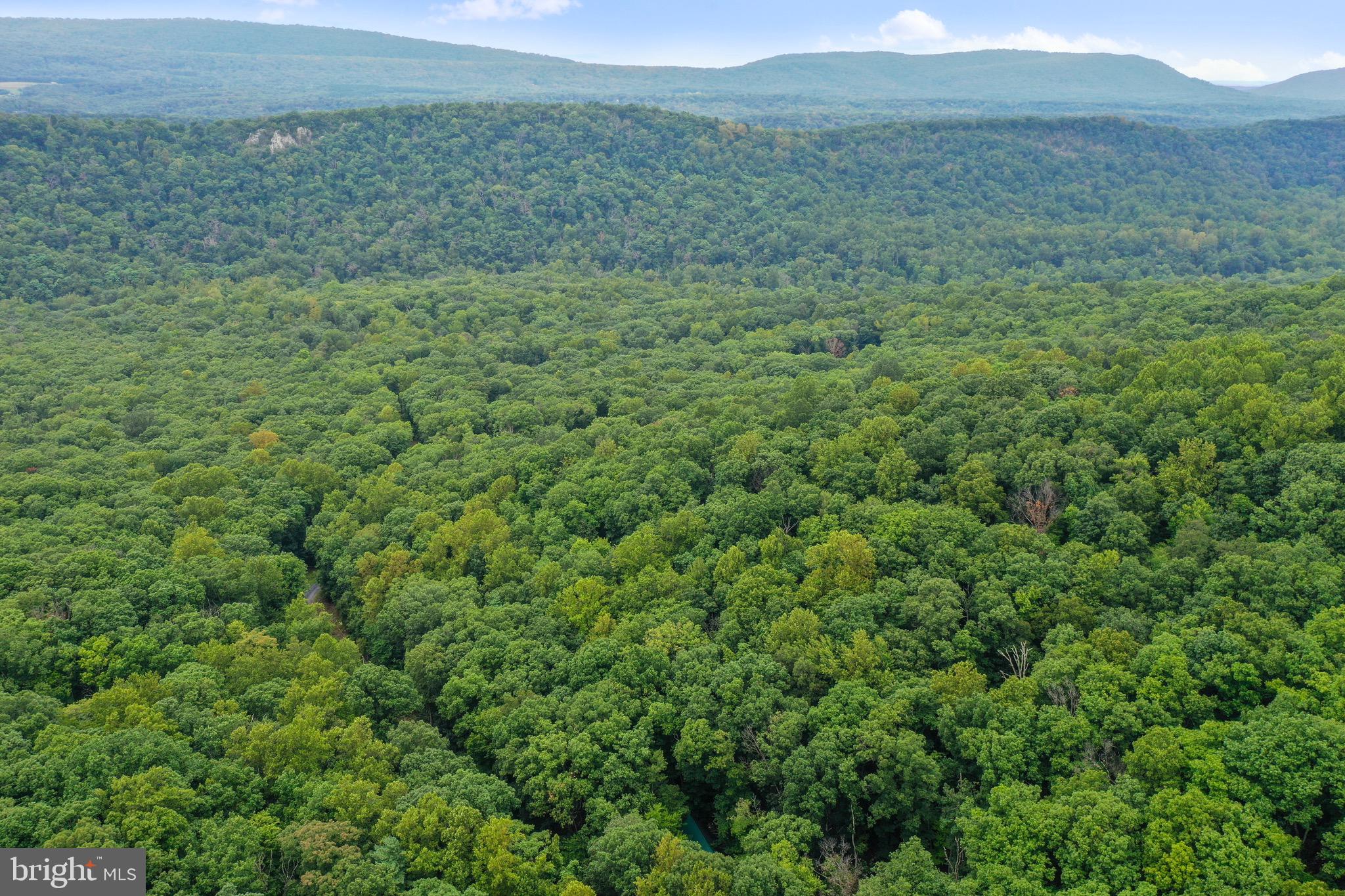 ROUSE MOUNTAIN - Residential