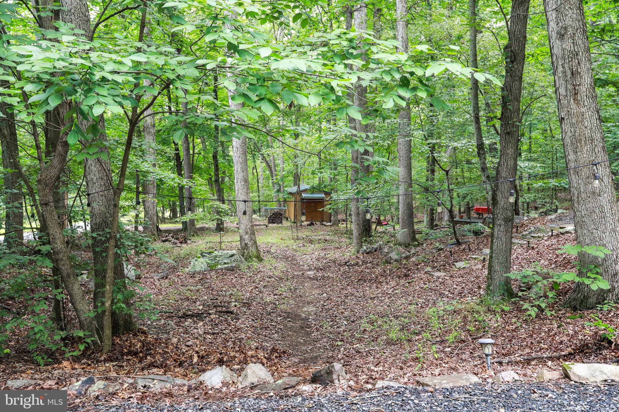 ROUSE MOUNTAIN - Residential