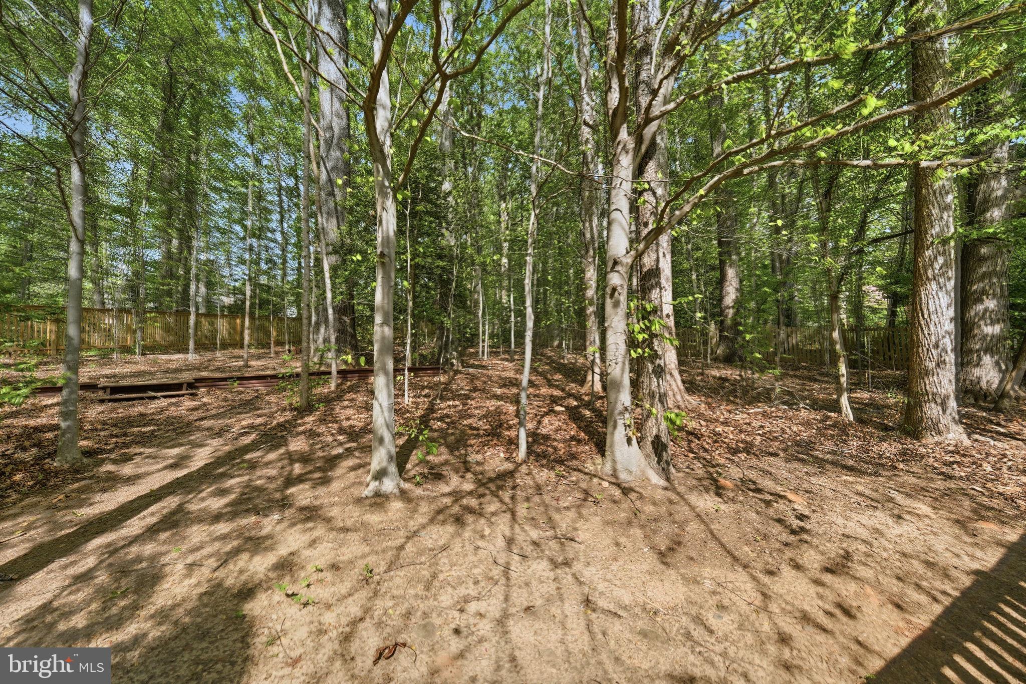 MEADOWBROOK WOODS - Residential