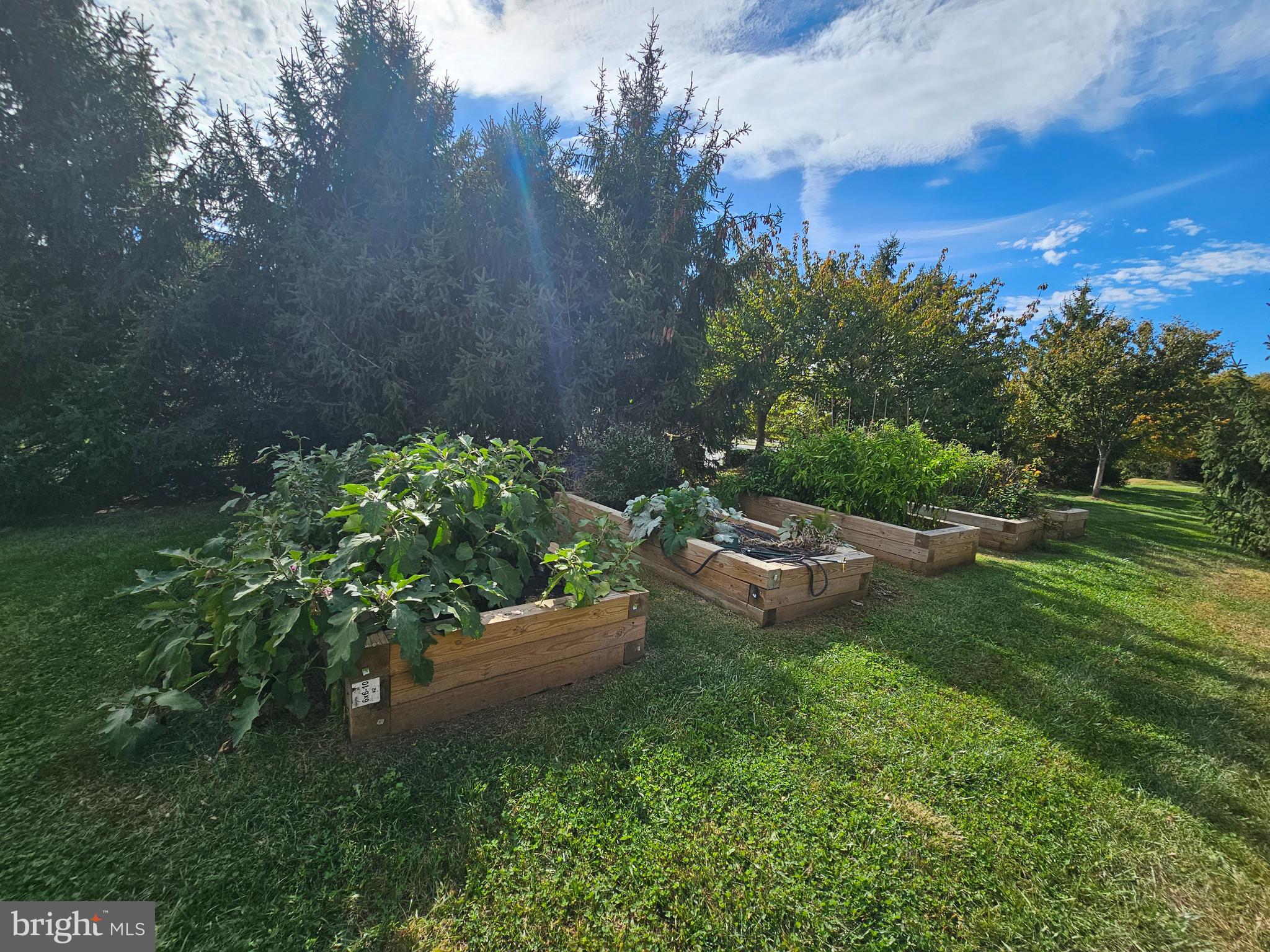 PERRY HALL - Residential