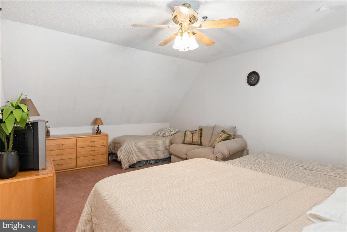 CAINE WOODS - Residential