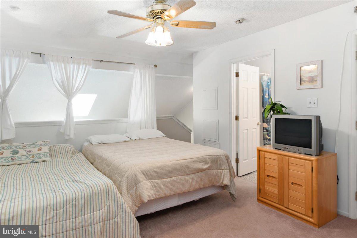 CAINE WOODS - Residential