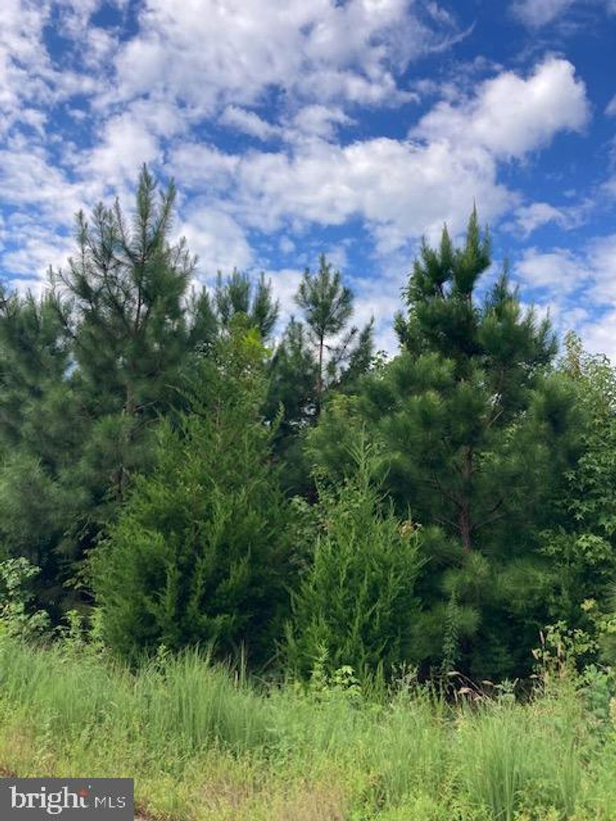 9.44 acres of level country land close to  all that the Northern Neck has to offer, very private setting. Years ago the land was used for the farming of crops. Zoned agricultural and would make a nice little homestead.