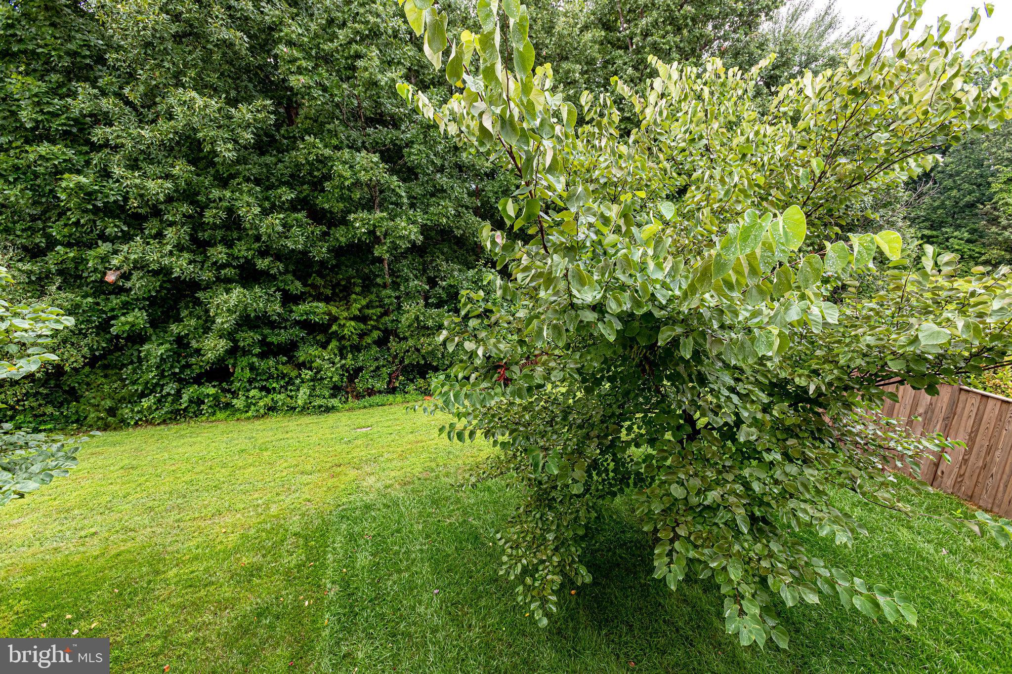 PEMBROOKE - Residential Lease