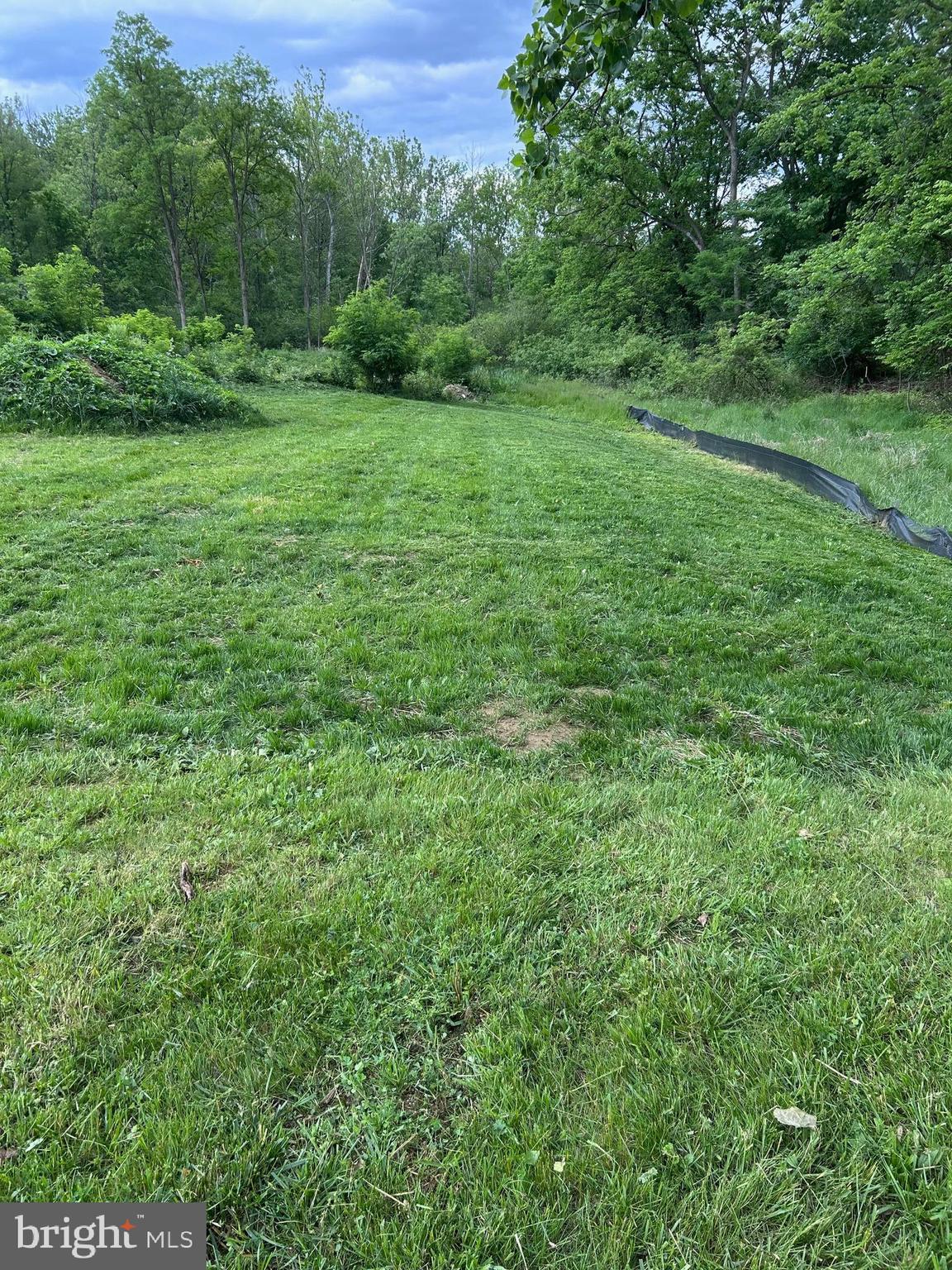 An amazing opportunity to acquire a prime lot in the City of Winchester, Virginia, perfect for your dream home!
Nestled in the established Meadows Branch neighborhood, one of Winchester’s most upscale developments of beautifully crafted homes, this spacious 0.97 acre lot backs to the protected Abrams Creek Wetlands Preserve and Winchester’s Green Circle Trail.
This ready-to-build homesite is well suited for a 2500 to 7,000 square-foot custom home!
Utilities are readily available, including natural gas and high-speed internet. Located in an ideal setting for both peaceful relaxation in nature and an active lifestyle in the community, this lot is near the biking, running, and walking Green Circle Trail through the City of Winchester and the Abrams Creek Preserve pathway. This lot is in close proximity to Winchester’s Historic Old Town (1.9 miles), Shenandoah University (2.2 miles), Winchester Medical Center (1.6 miles), Museum of the Shenandoah Valley (1.7 miles), and numerous dining, shopping, work, and leisure options. Winchester is an ideal historic town that has a complete package of charm, friendliness, parks, museums, schools, and businesses. It perfectly blends the nostalgic lifestyles of the past with the modern conveniences of the present. As a growing community, and especially in this neighborhood, the rising real estate values make this property a great investment. Do not miss your chance to own this rare opportunity! This is your canvas to create something truly special! Buyer to also pay Seller $20,800 at Closing for Water and Sewer tap fees already paid to the City of Winchester for 1" Water Meter and Service for new home (Buyer should subtract from builder's budget)."