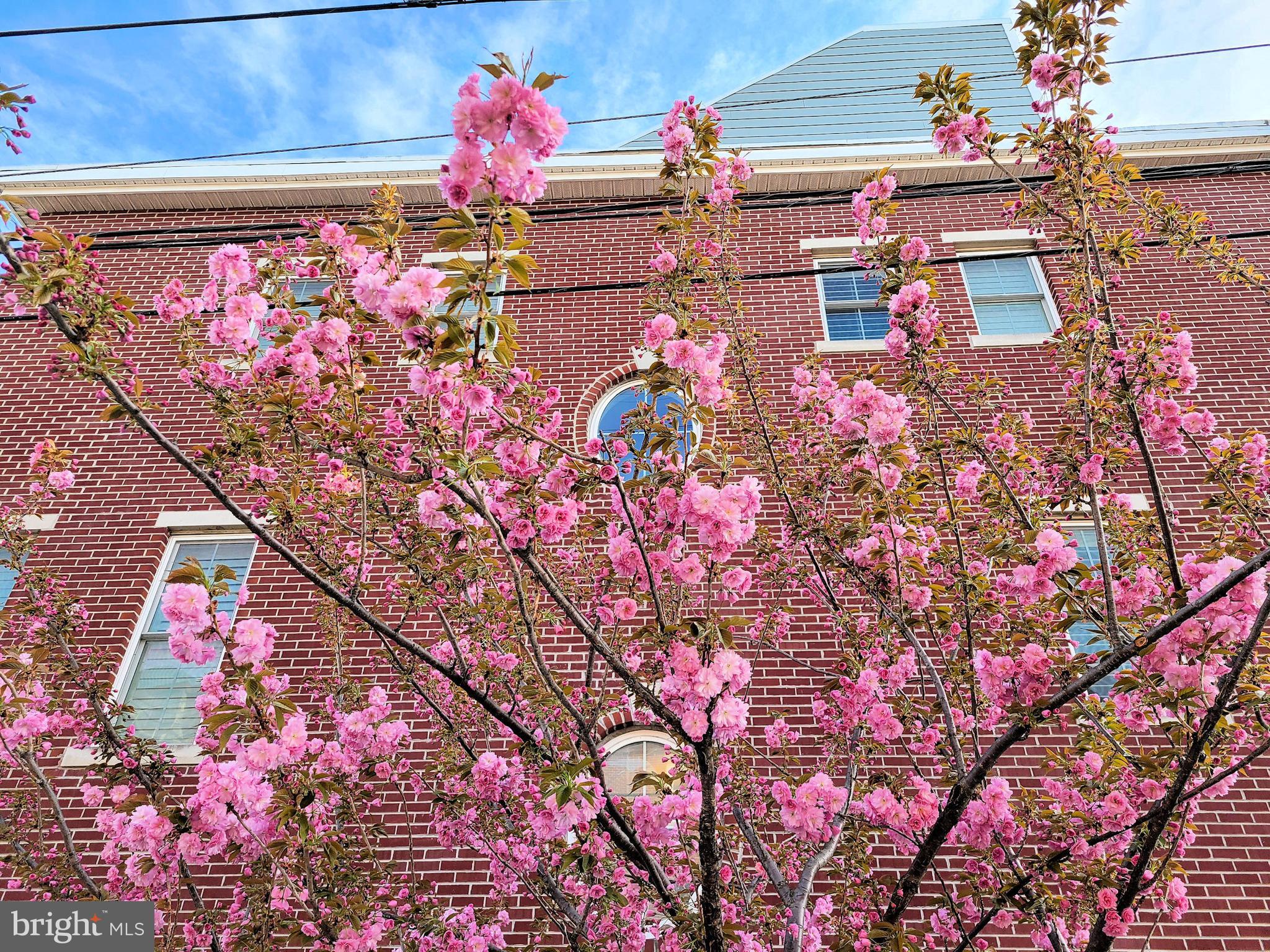 PHILADELPHIA (SOUTH) - Residential Lease