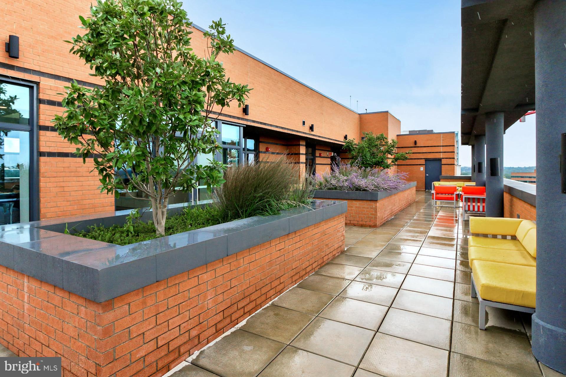 CLARENDON - Residential Lease