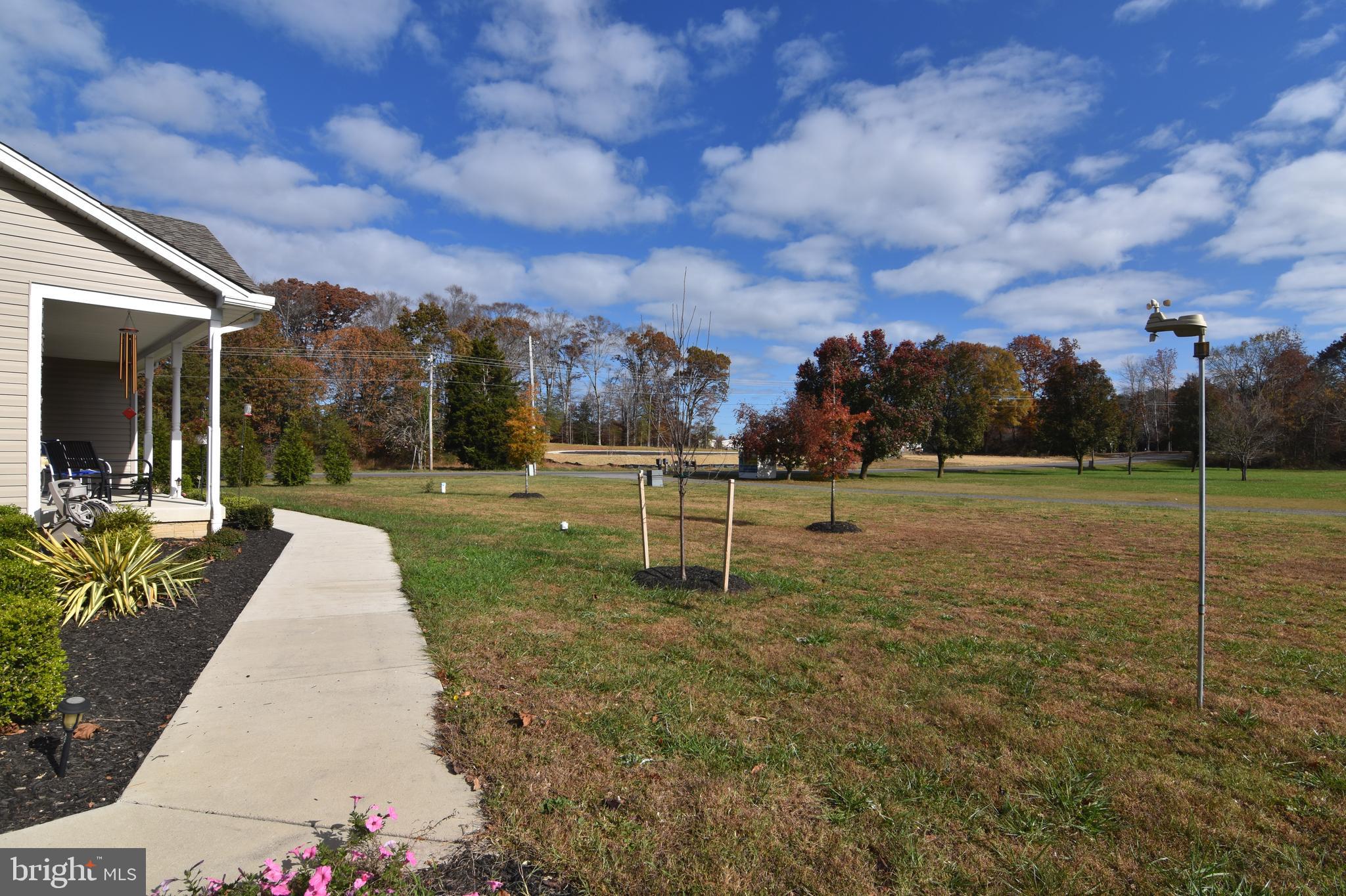 ELIZA DAVIS - Residential