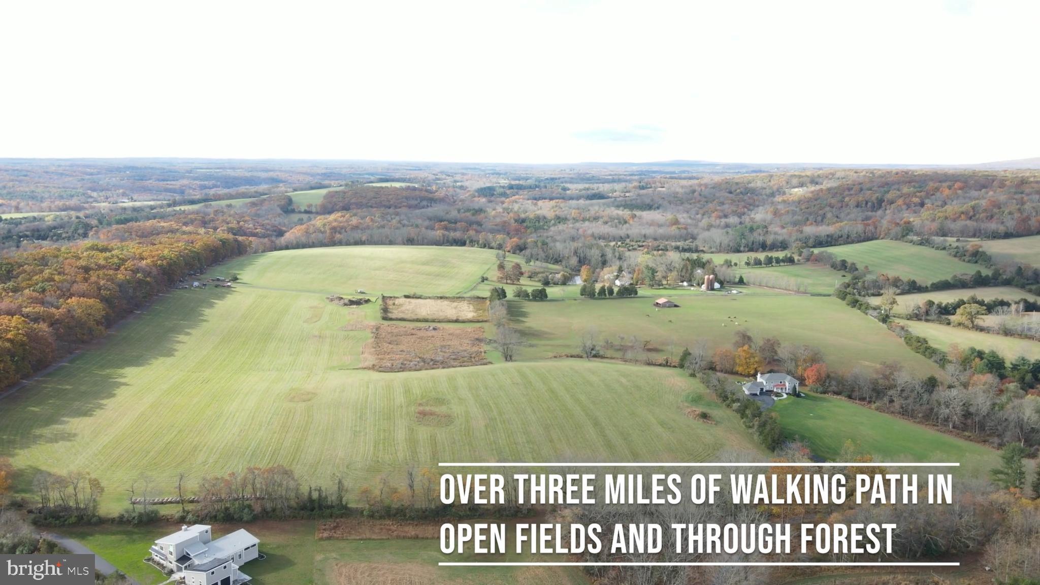 Lot 45 FOX RUN