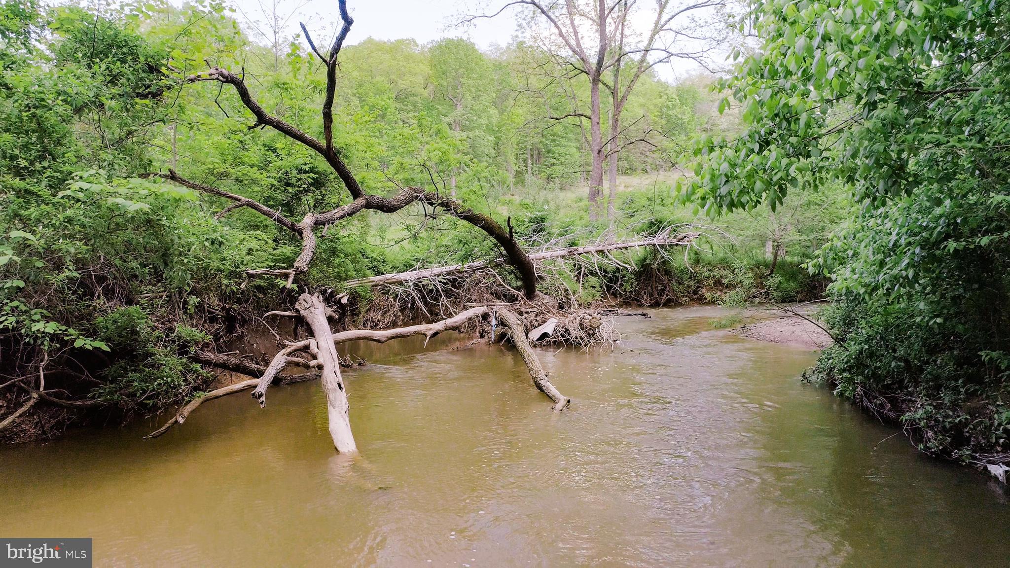 CABIN RUN ESTATES - Residential