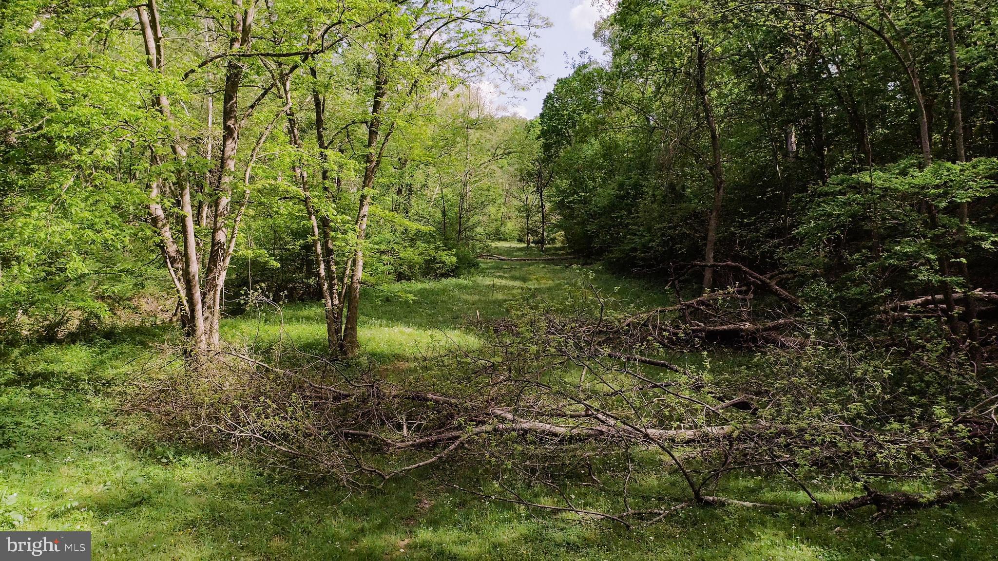 CABIN RUN ESTATES - Residential