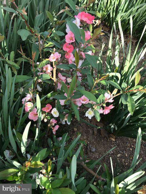 CABIN RUN ESTATES - Residential