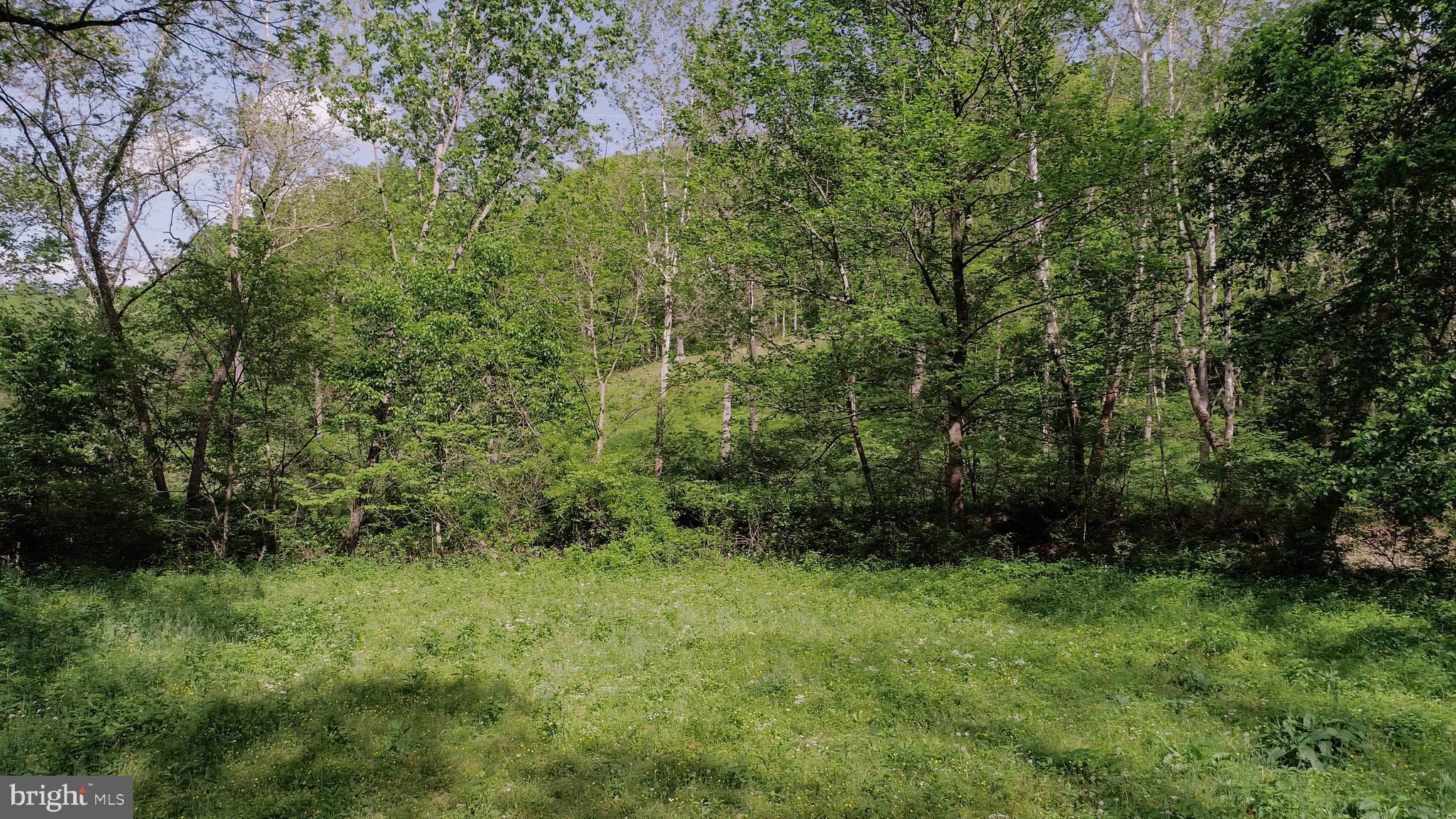 CABIN RUN ESTATES - Residential