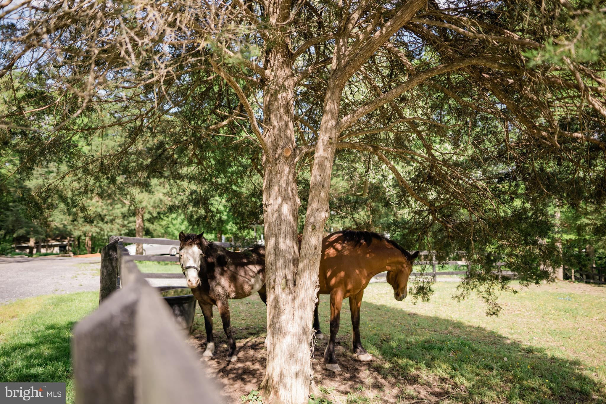 CABIN RUN ESTATES - Residential