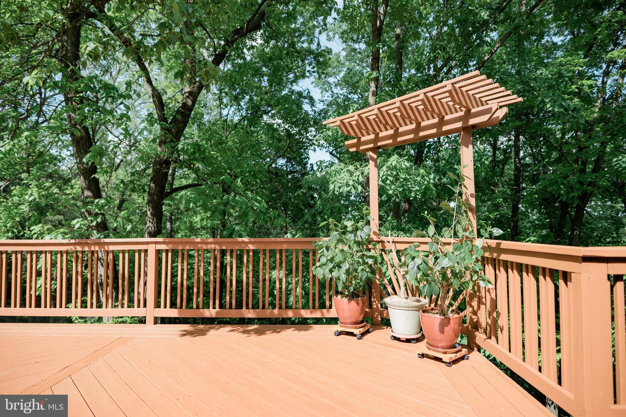 CABIN RUN ESTATES - Residential