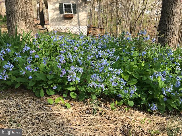 CABIN RUN ESTATES - Residential