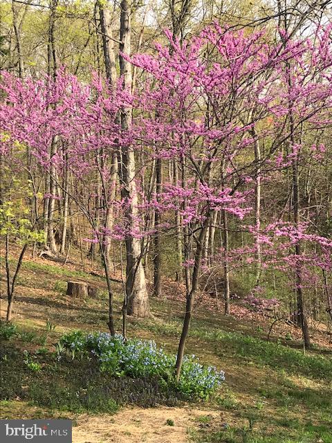 CABIN RUN ESTATES - Residential