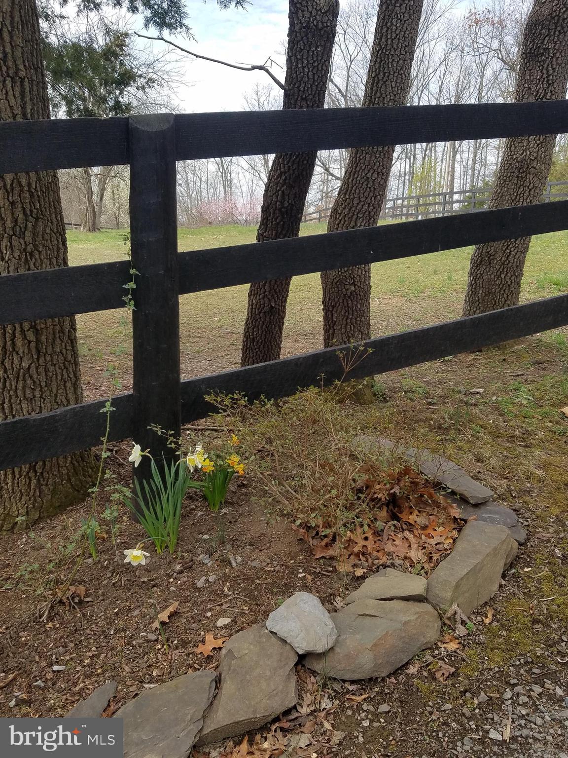 CABIN RUN ESTATES - Residential