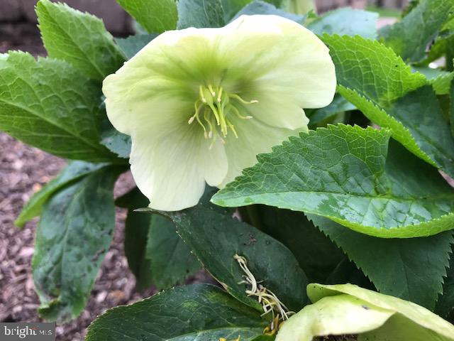 CABIN RUN ESTATES - Residential