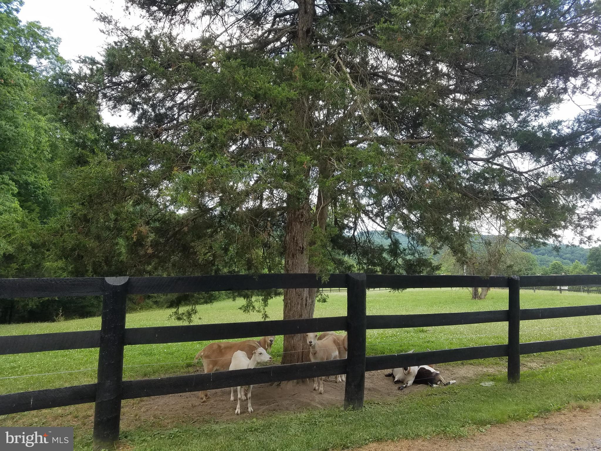 CABIN RUN ESTATES - Residential