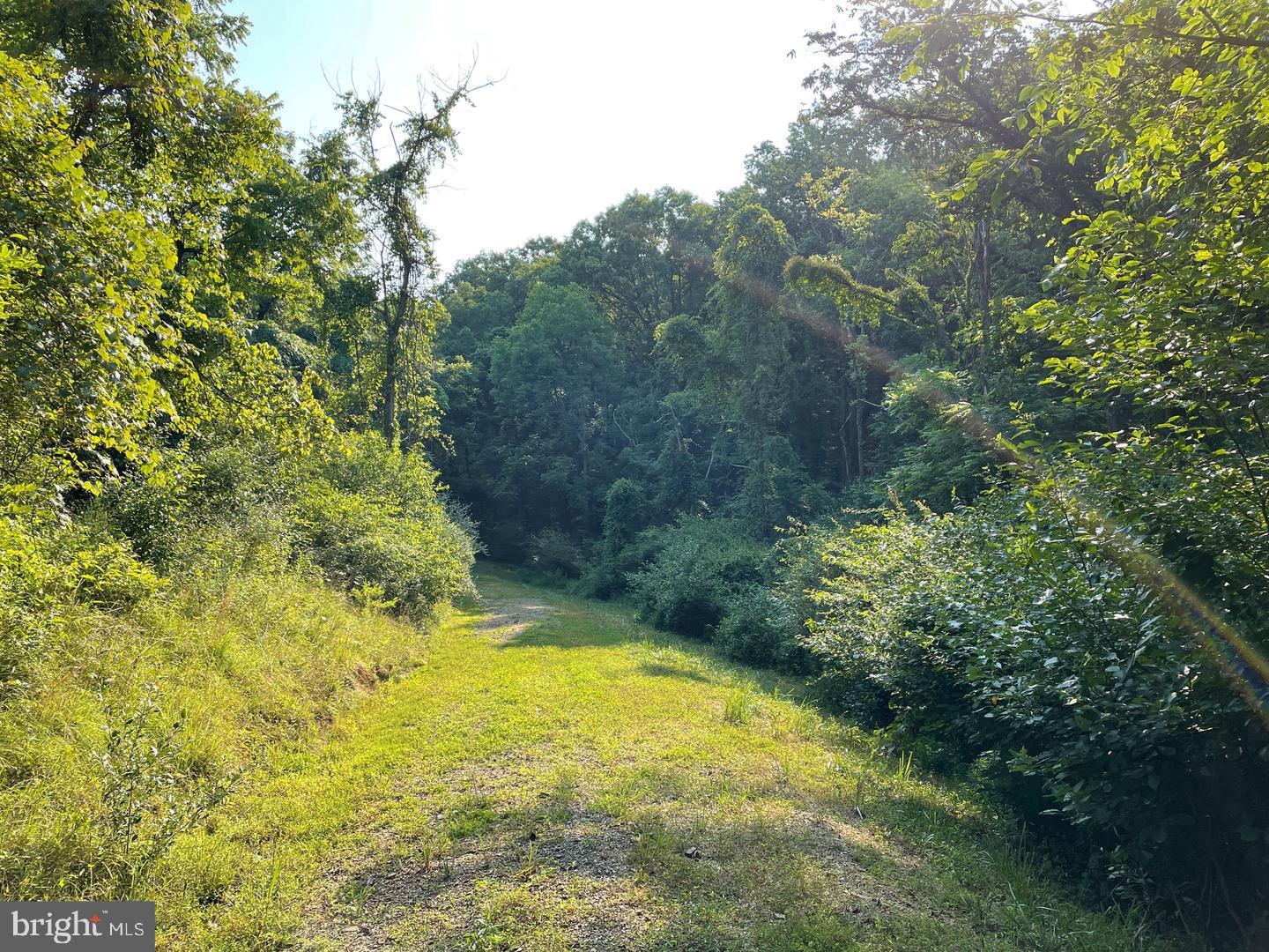 TUPELO LOOP