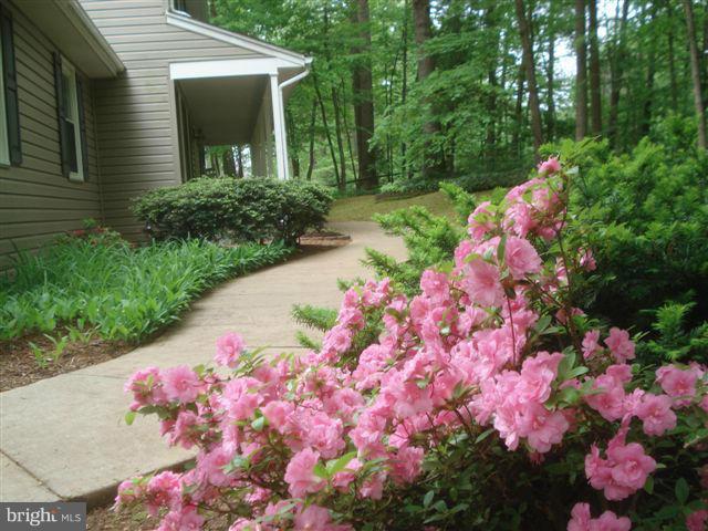 MONTCLAIR - Residential