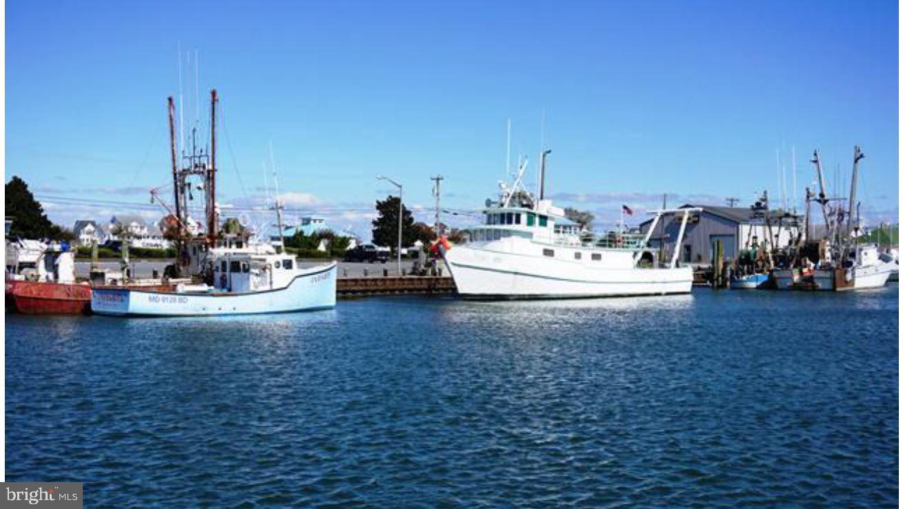 SALT LIFE PARK LLC - Residential