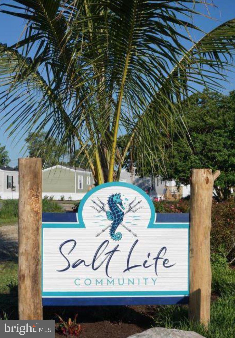 SALT LIFE PARK LLC - Residential