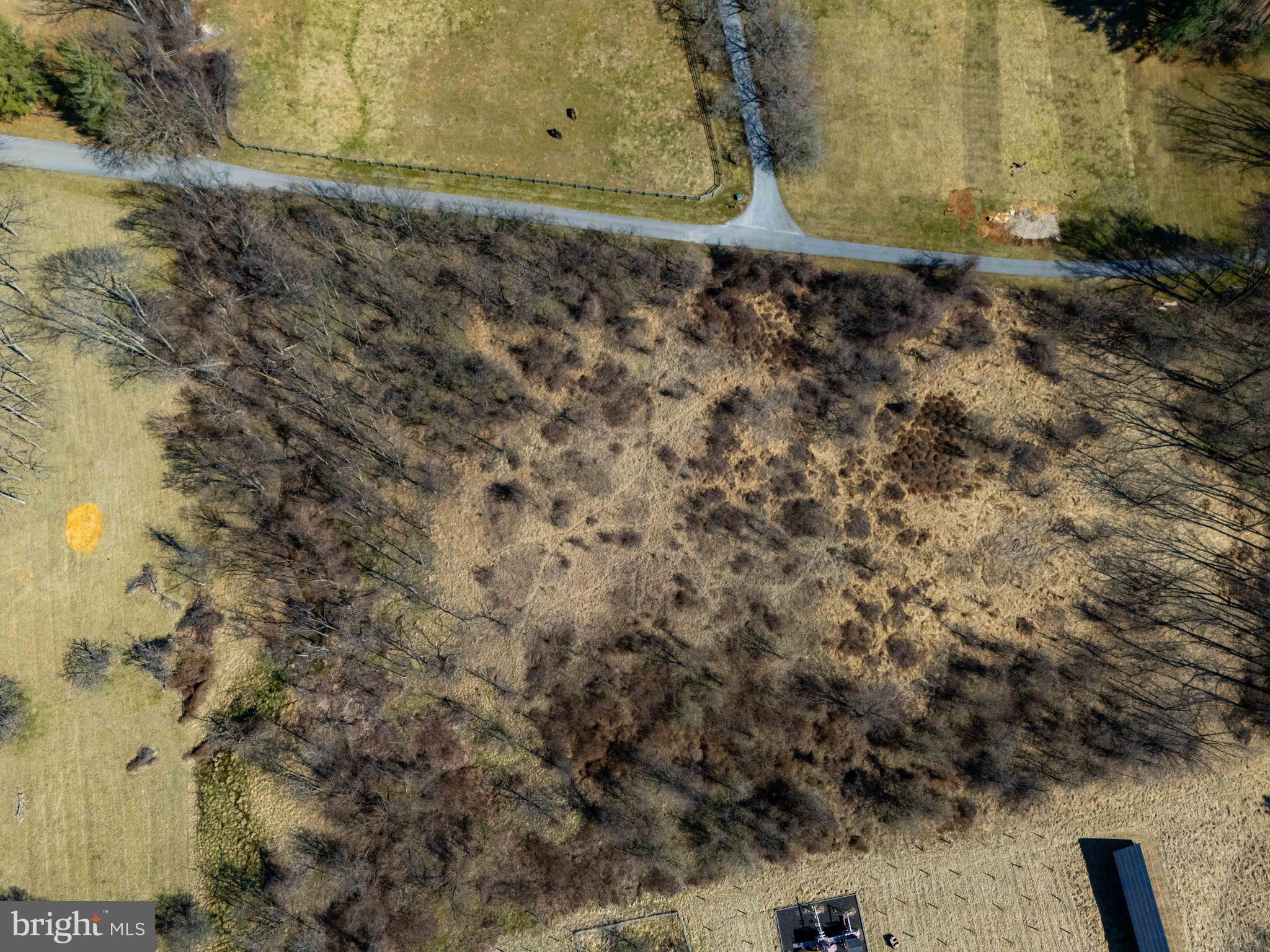 BONAPARTE ESTATES - Land