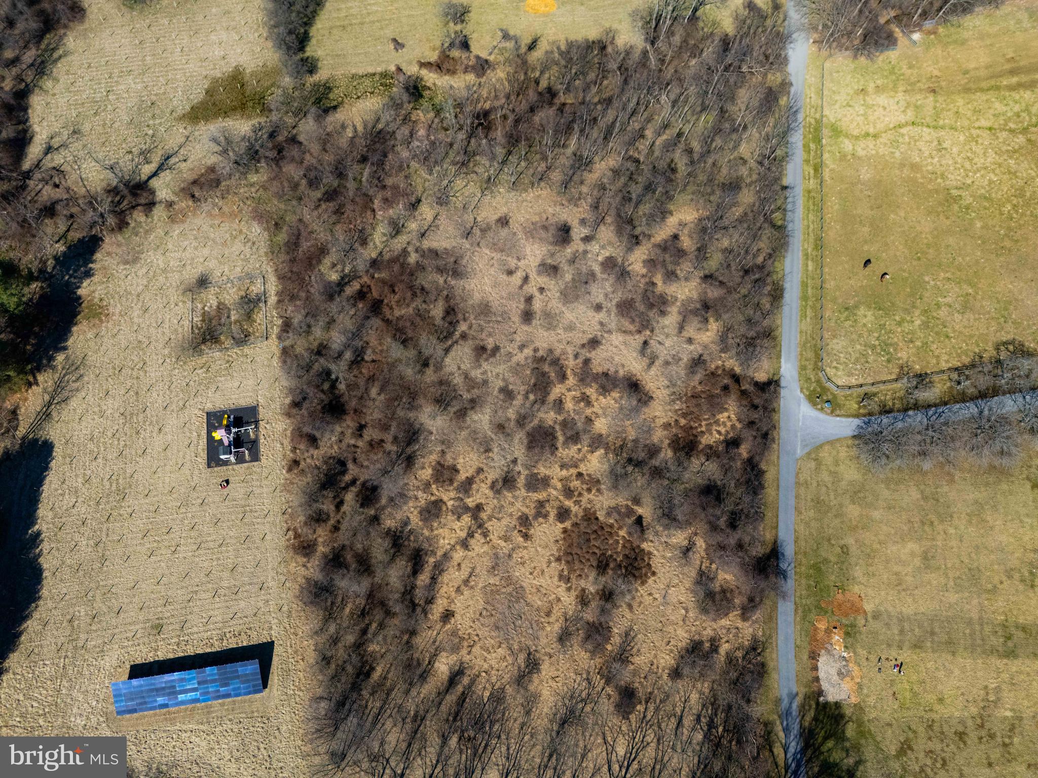 BONAPARTE ESTATES - Land