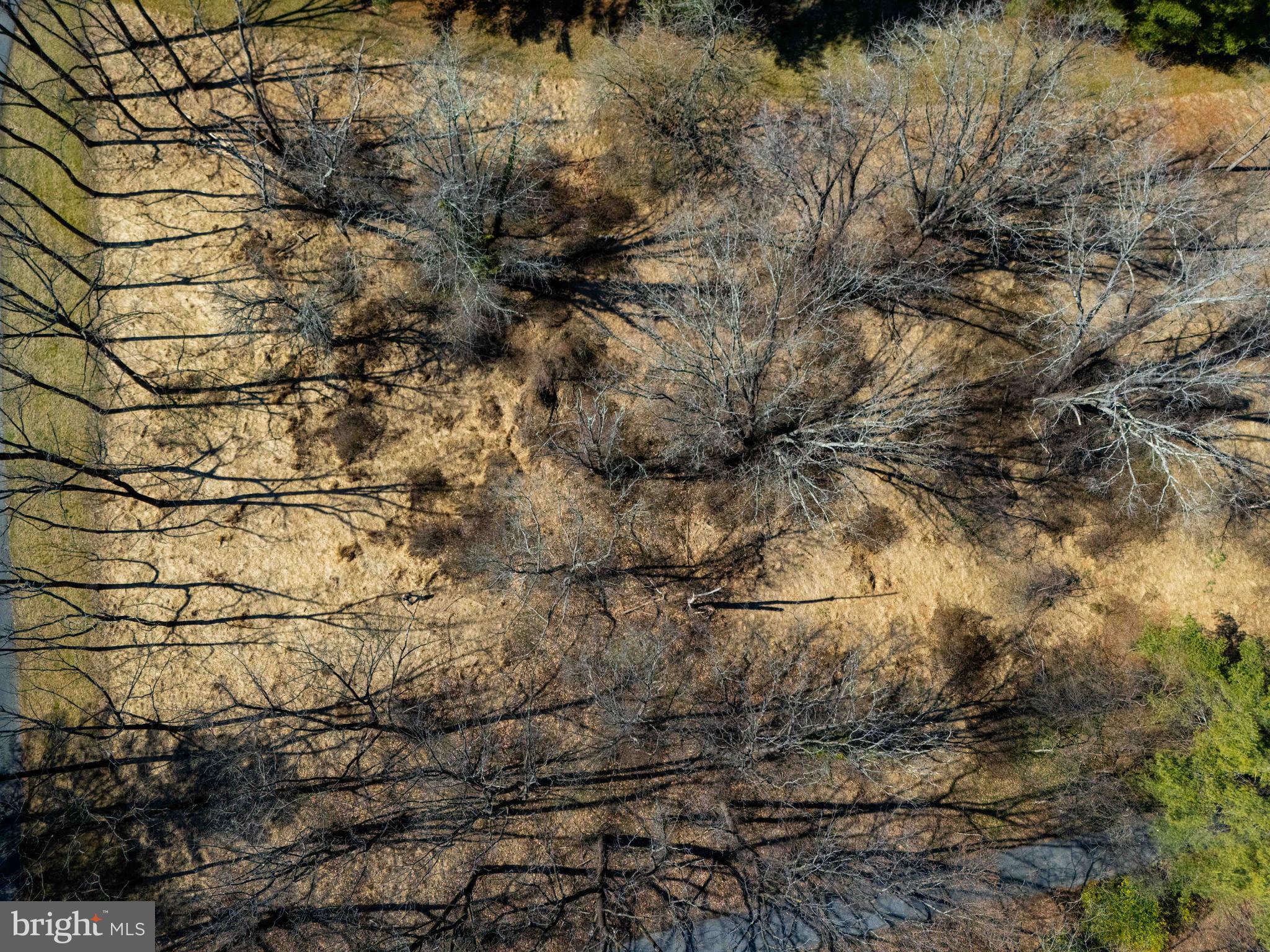 BONAPARTE ESTATES - Land