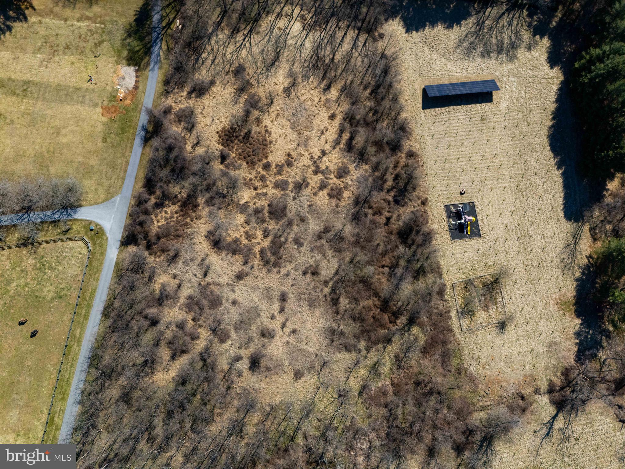 BONAPARTE ESTATES - Land