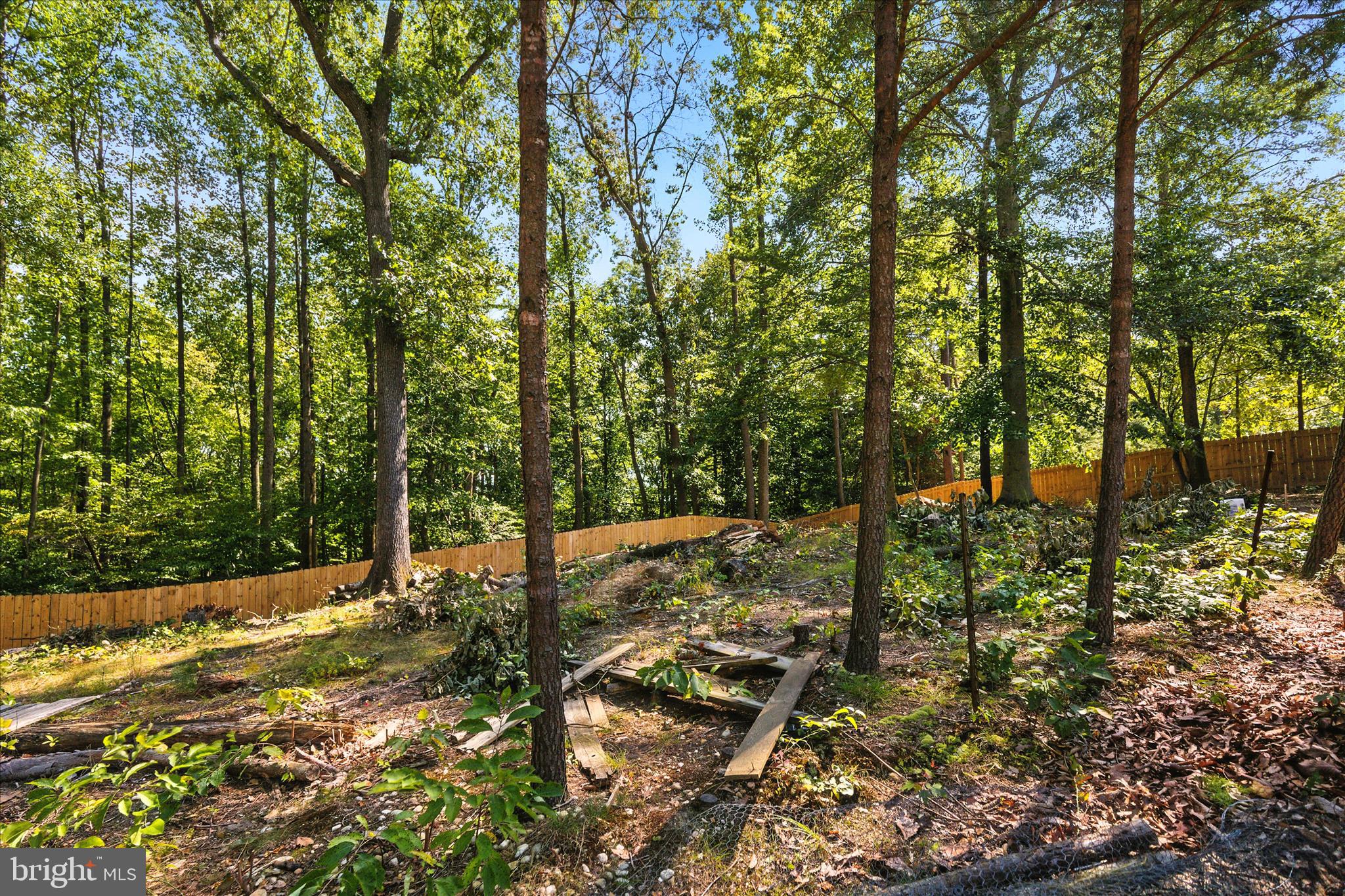 CEDAR CHASE - Residential