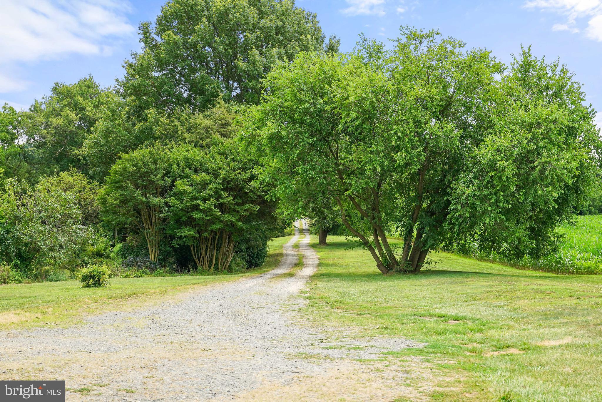 BAY VIEW SPRINGS - Residential
