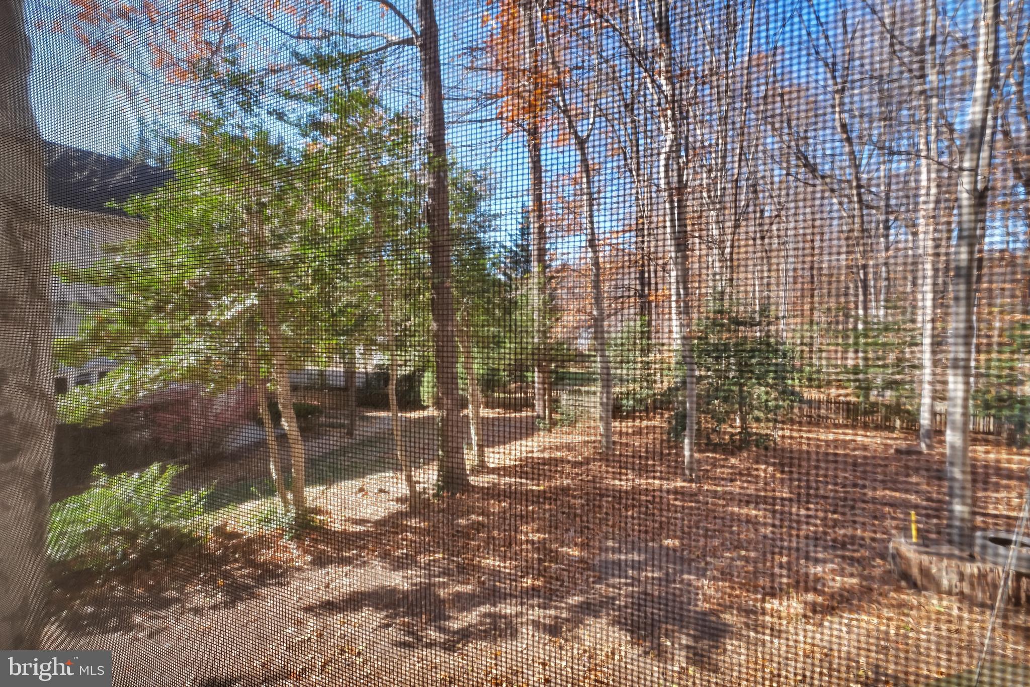 THE WILLOWS - Residential