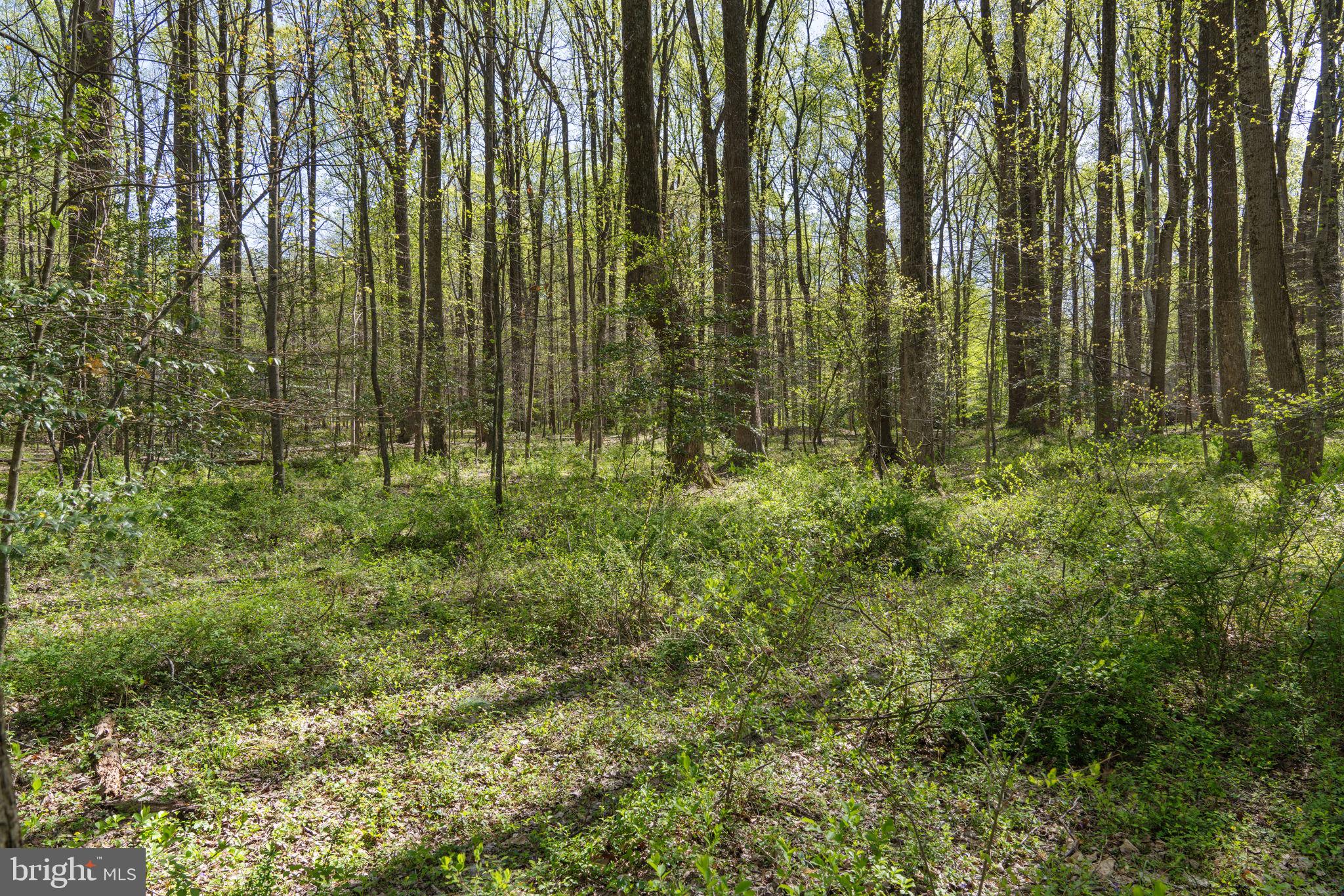 TEN PENNY WOODS - Residential