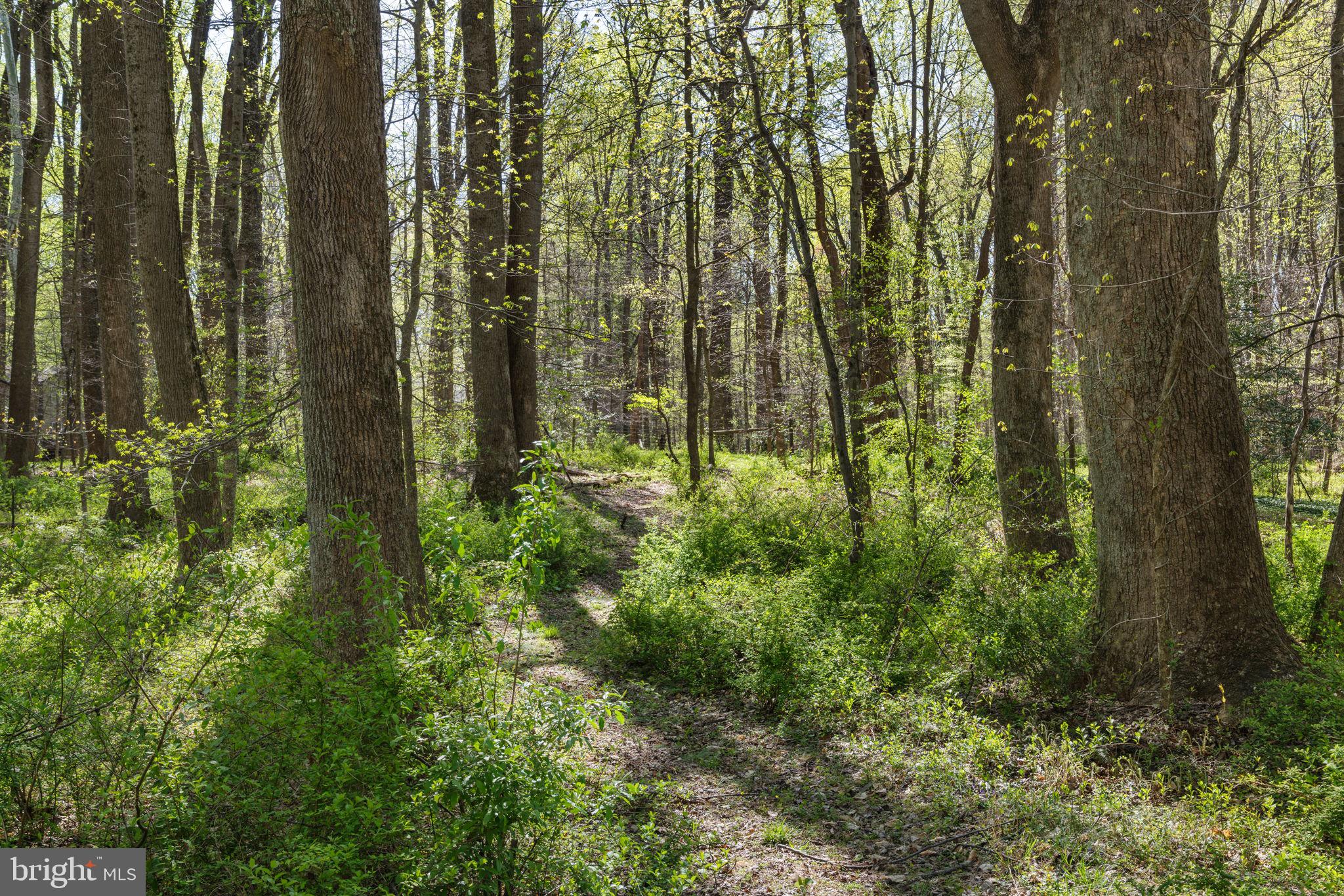 TEN PENNY WOODS - Residential