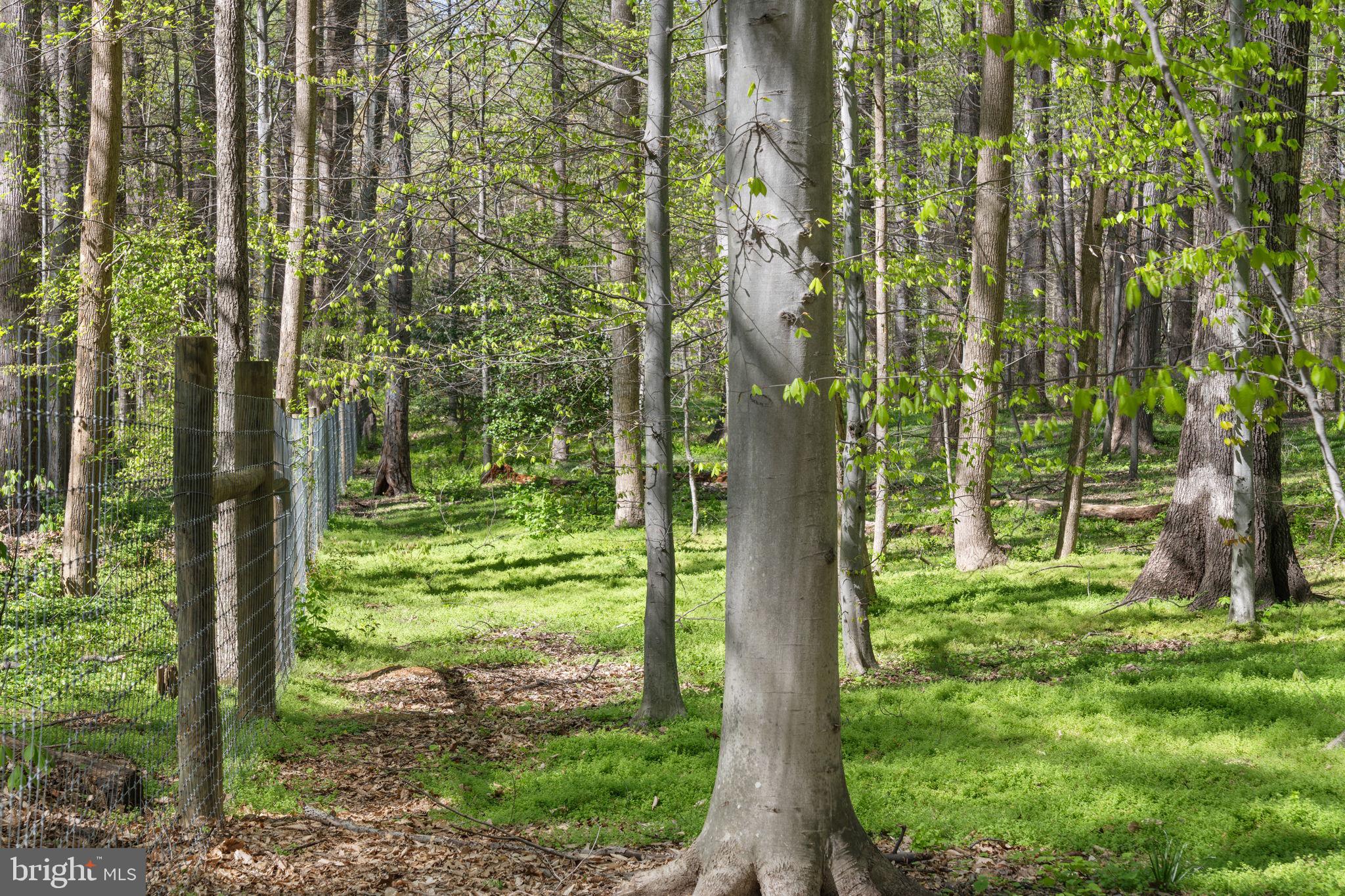 TEN PENNY WOODS - Residential