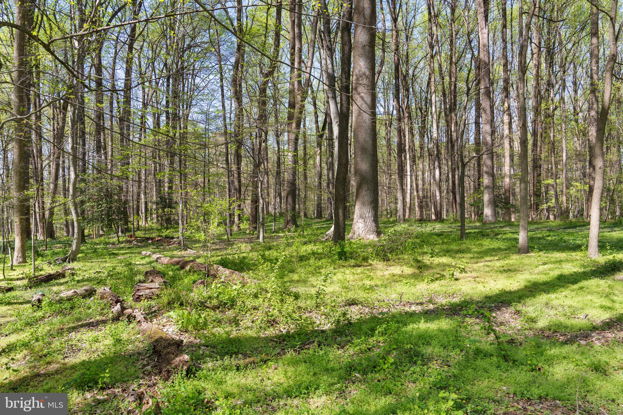 TEN PENNY WOODS - Residential