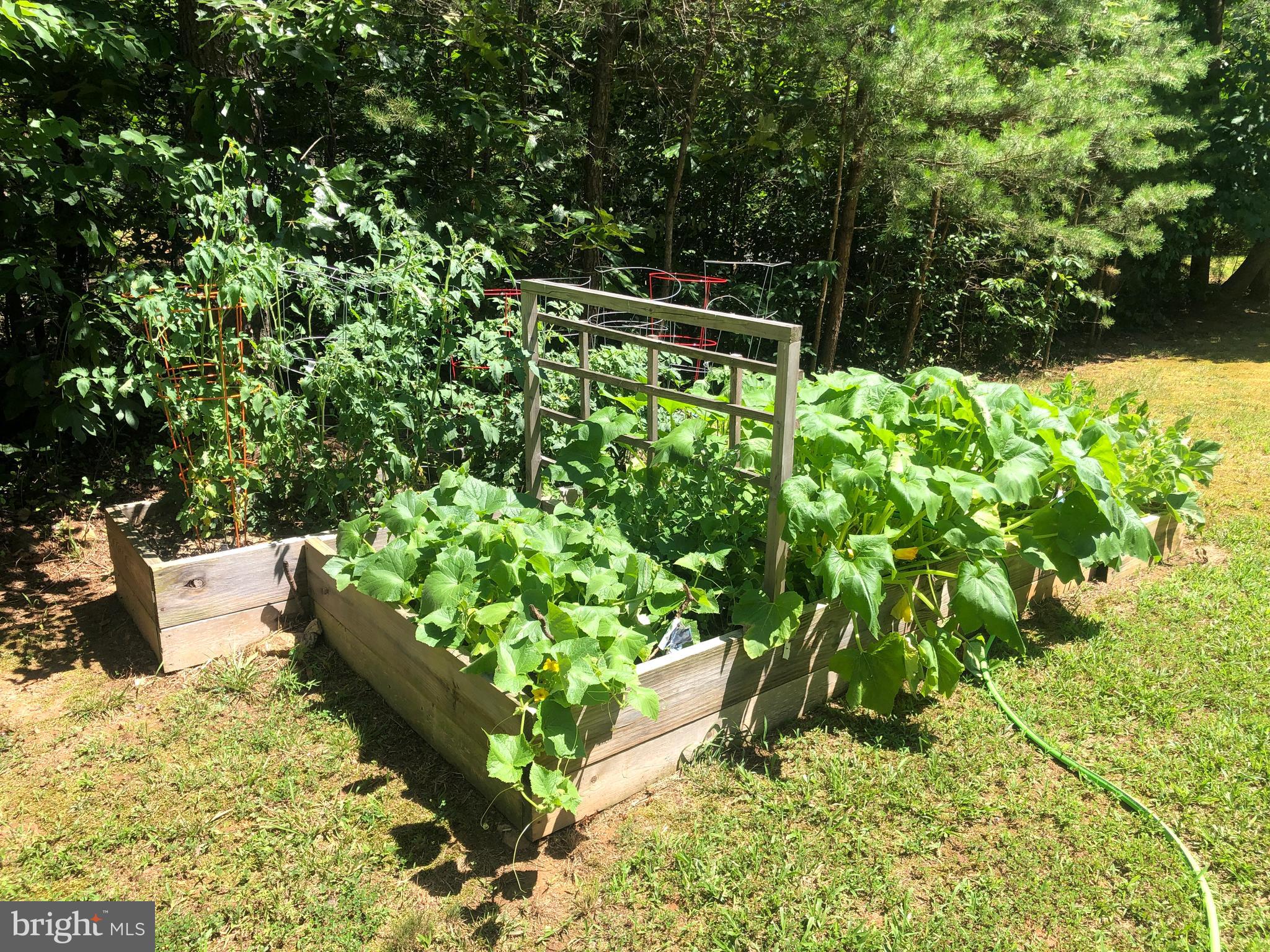 LAKE ANNA WOODS - Residential