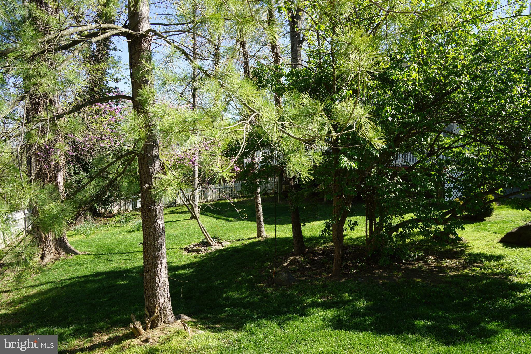 WOODSPRING AT NEW MARKET - Residential