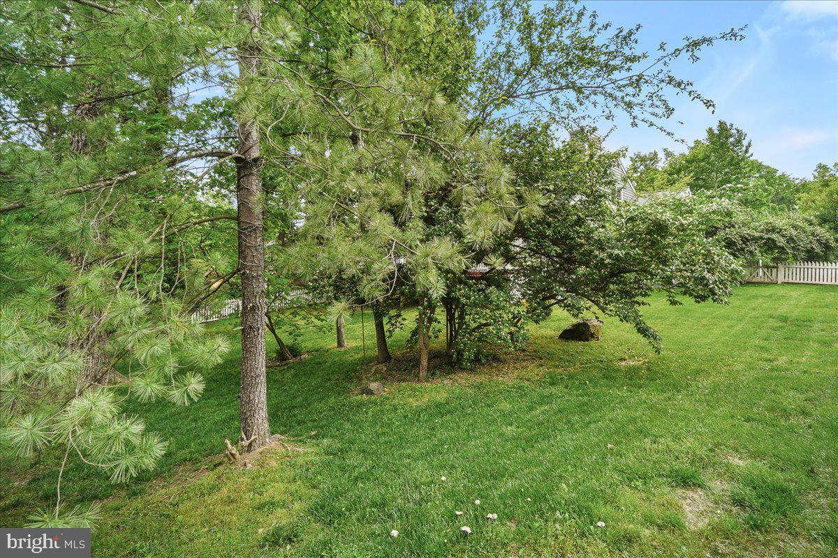 WOODSPRING AT NEW MARKET - Residential