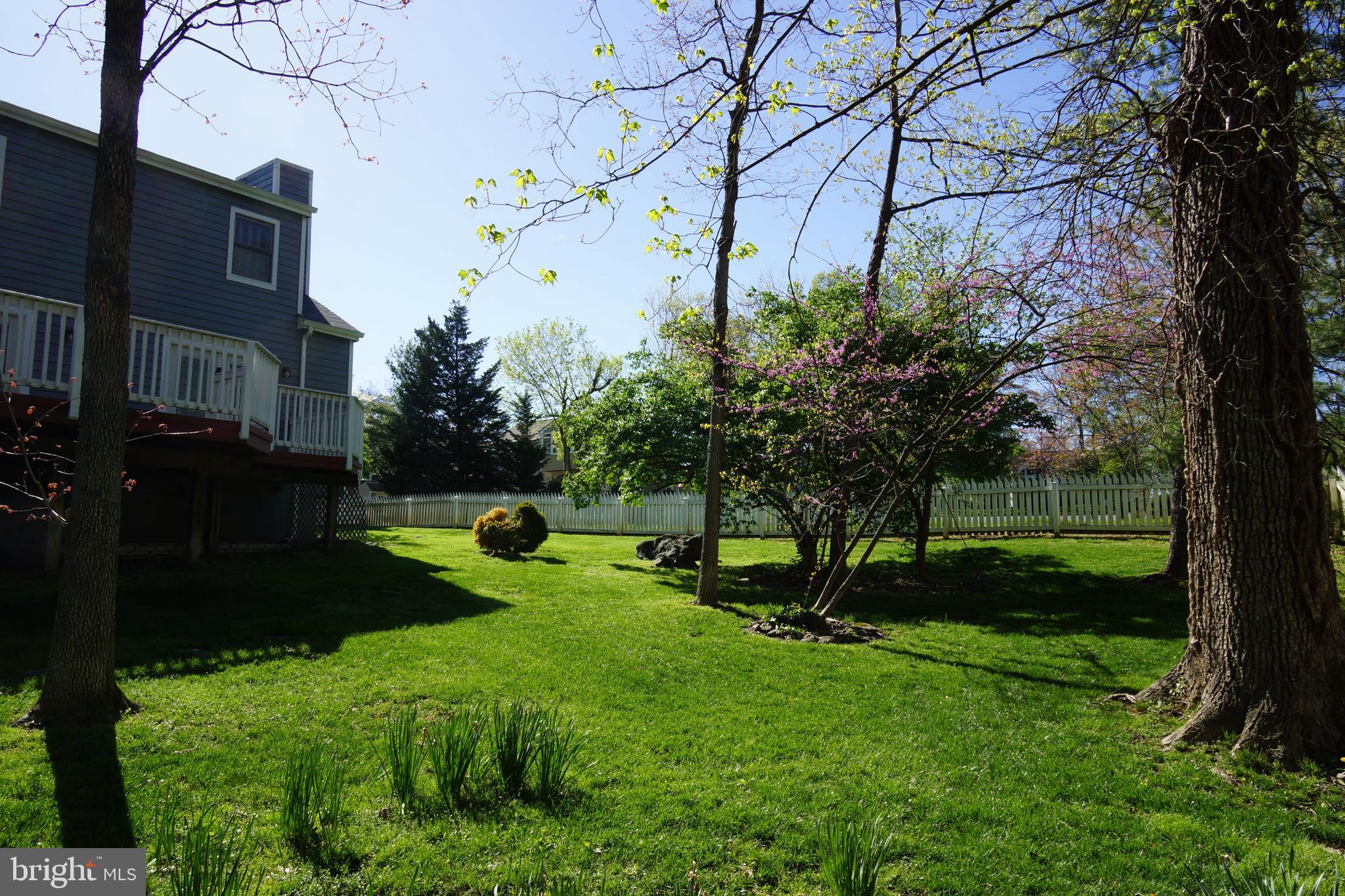 WOODSPRING AT NEW MARKET - Residential