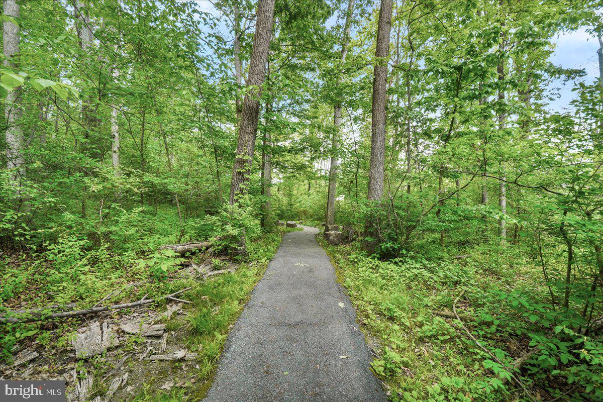 WOODSPRING AT NEW MARKET - Residential