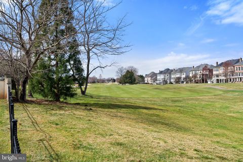 listing image 50